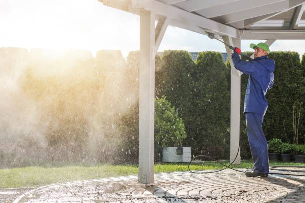 Best Animal Enclosure Cleaning  in Knik Fairview, AK